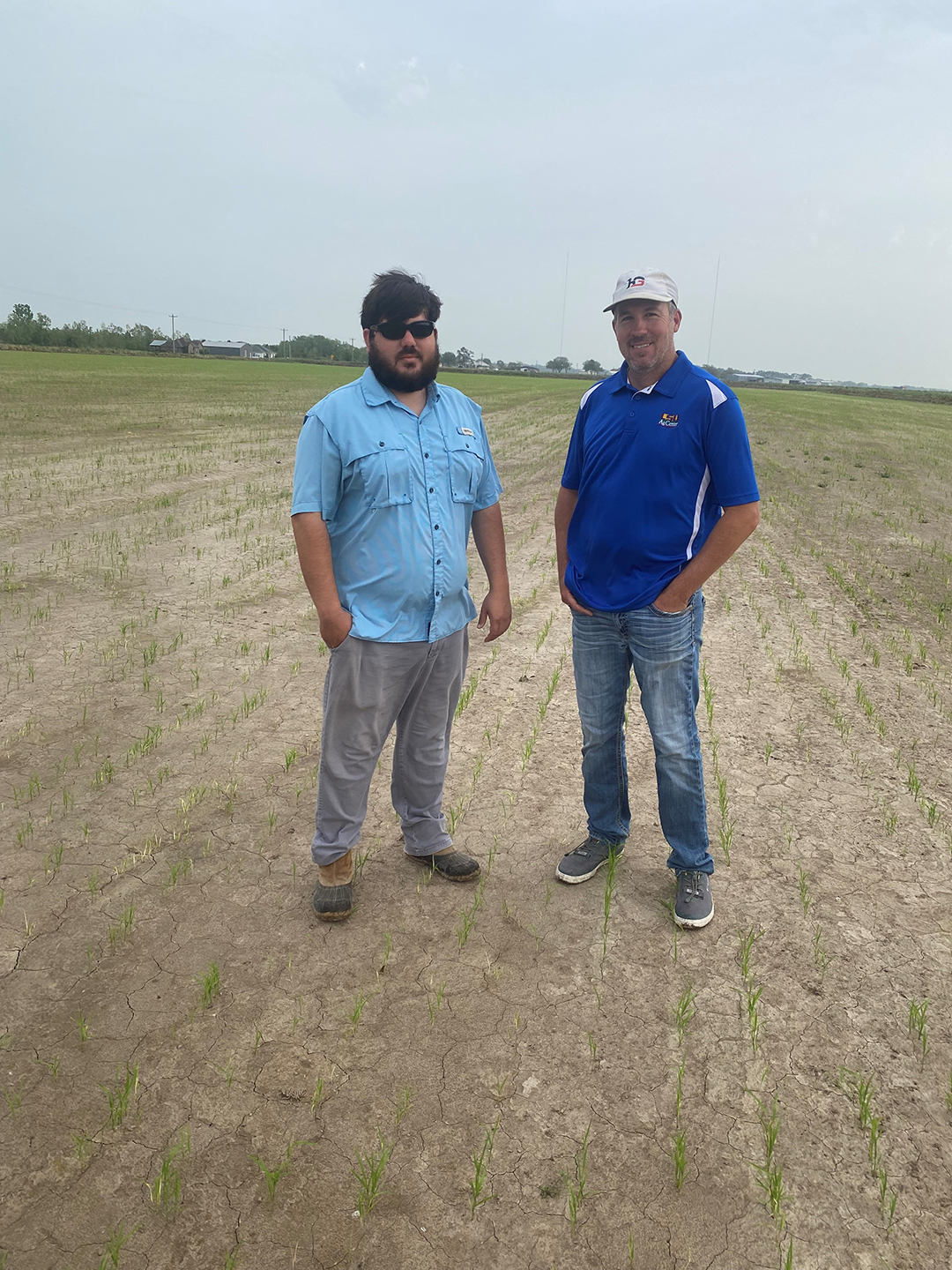 Rice Verification Program produces proven results for its 25th season